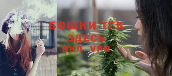 ПСИЛОЦИБИНОВЫЕ ГРИБЫ Краснотурьинск