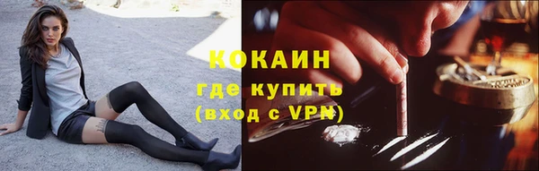 прущие грибы Красноперекопск