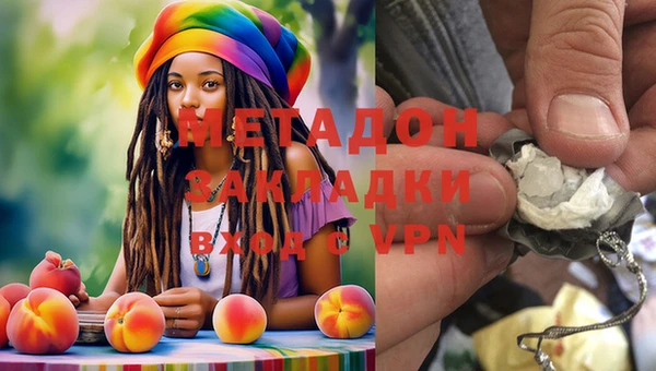 прущие грибы Красноперекопск